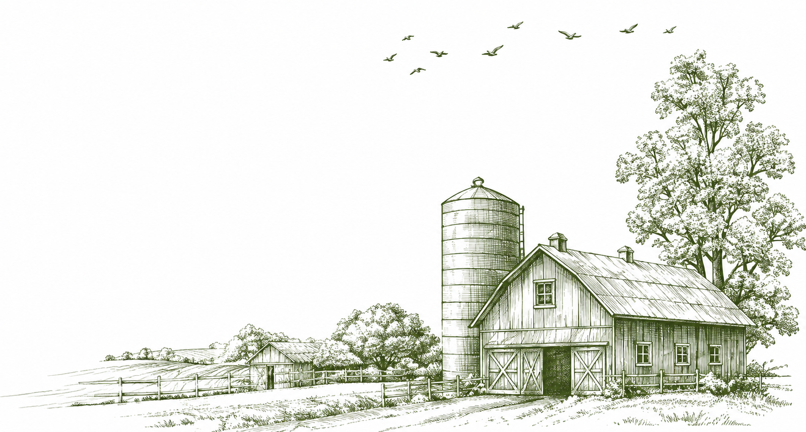 Barn Sketch